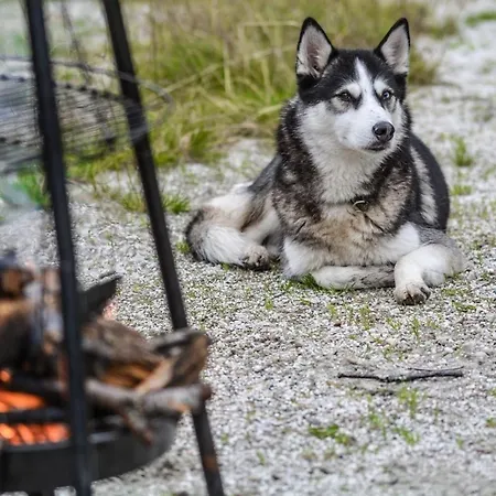 Soehredomizil Kaufunger Wald - Terrasse - Grill - Wlan - Hund - Spielplatz Apartment