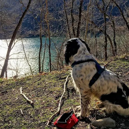 Soehredomizil Kaufunger Wald - Terrasse - Grill - Wlan - Hund - Spielplatz Apartment Lohfelden