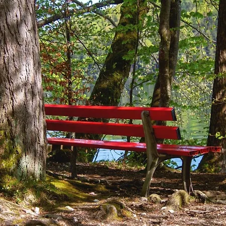 Soehredomizil Kaufunger Wald - Terrasse - Grill - Wlan - Hund - Spielplatz Daire